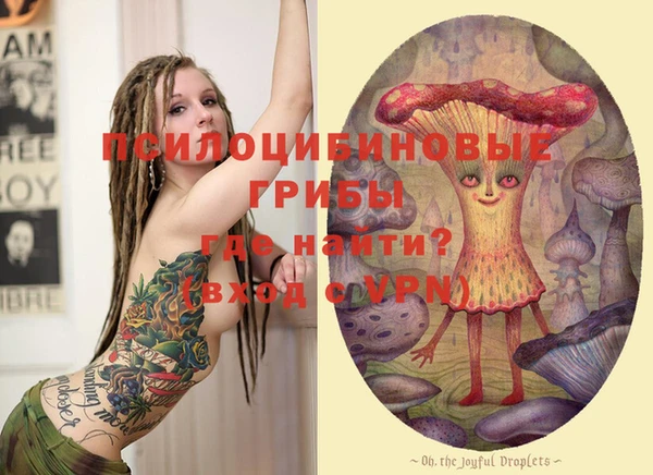 ешки Бронницы