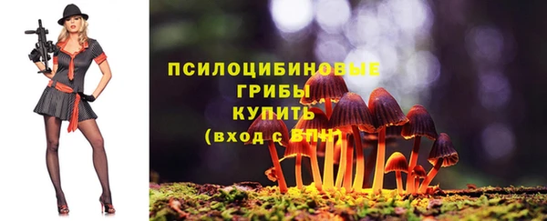 амф Бородино