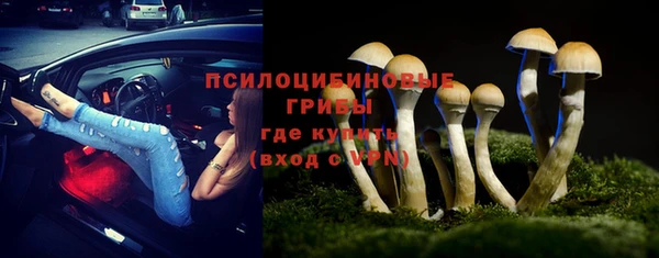 ешки Бронницы