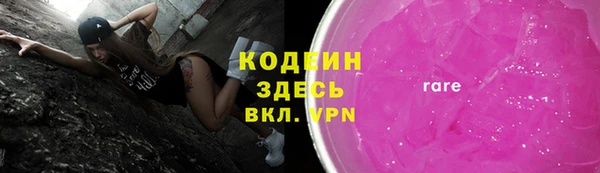 амф Бородино