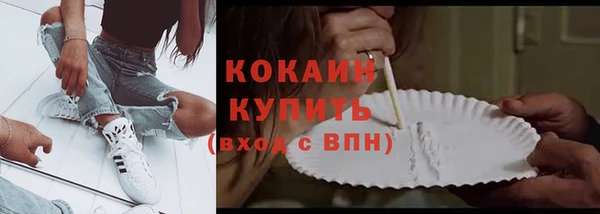 амф Бородино