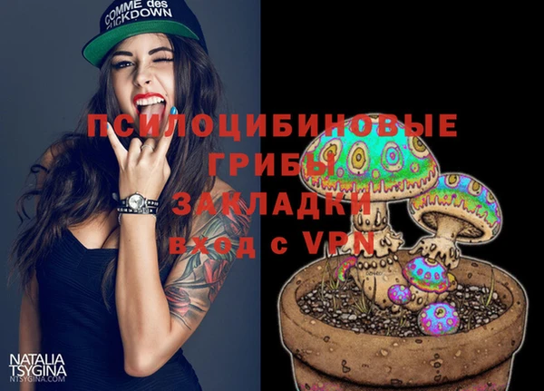 ALPHA-PVP Бугульма