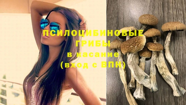 амф Бородино