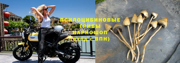 амф Бородино