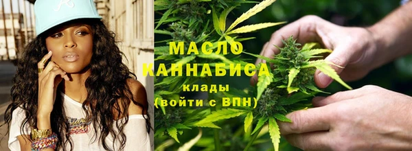 амф Бородино