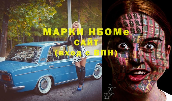 амф Бородино