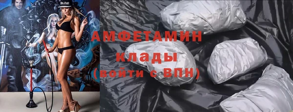 амф Бородино