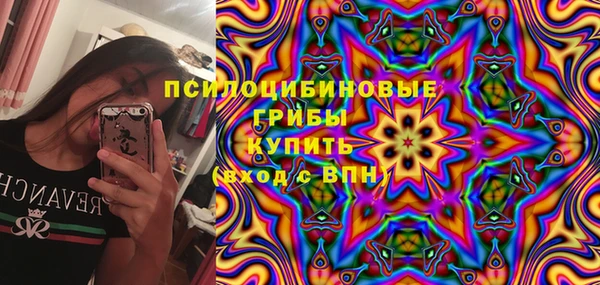 ешки Бронницы