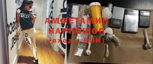 амф Бородино