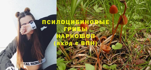 стафф Белокуриха